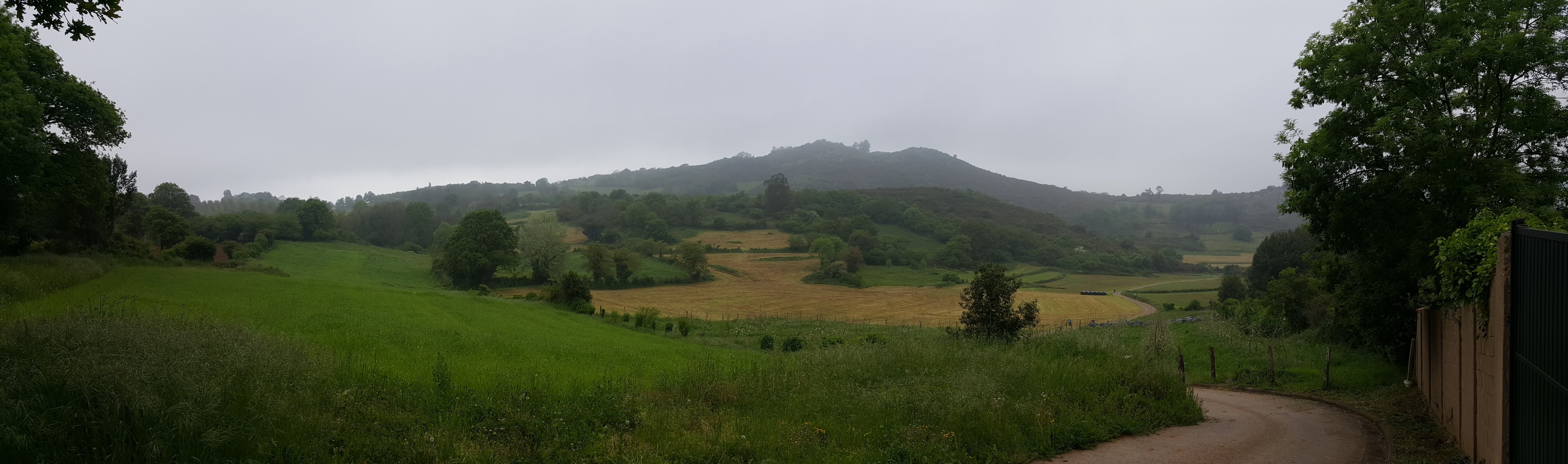 Camina a Santiago con diabetenerife